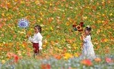 绿色煤矿建设如何兼顾生产稳定与环境治理