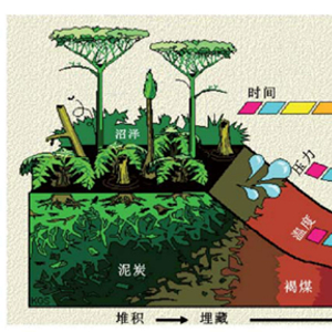 矿山企业班组管理的重点:把标准落实到作业现场 矿山企业班组管理的重点:把标准落实到作业现场